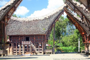 Image result for rumah krong bade
